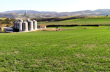 Fotos de Cerbón Soria